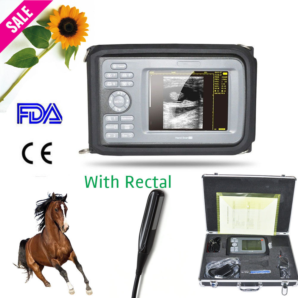 Veterinary/VET Digital Ultrasound Scanner Machine Rectal Probe Case Oximeter 190891379924 DIAGNOSTIC ULTRASOUND MACHINES FOR SALE