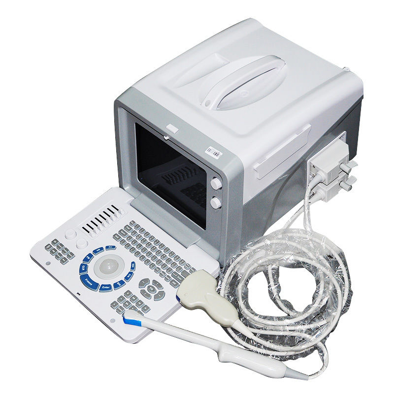 Digital Ultrasound Scanner Machine + Linear Transducer+3.5Convex Probe Sale 3D 190891973580 DIAGNOSTIC ULTRASOUND MACHINES FOR SALE