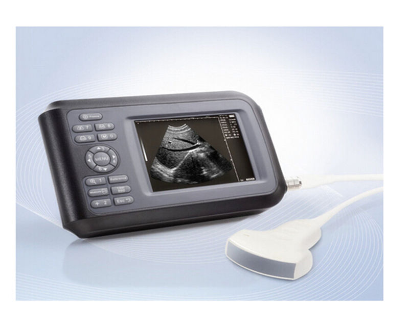 Handheld Ultrasound Scanner Digital Machine +Linear Probe 5.5 inch Human CE FAD 190891767356 DIAGNOSTIC ULTRASOUND MACHINES FOR SALE